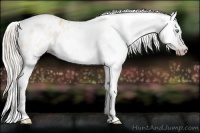 Horse Color:Gray Silver Amber Cream Champagne Roan Dun Splash Tobiano Frame Varnish Rabicano 