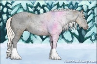 Horse Color:Gray Silver Amber Cream Champagne Roan Dun Splash Tobiano Frame Blanket Rabicano 