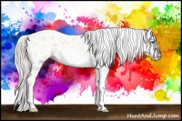 Horse Color:Gray Silver Amber Cream Champagne Roan Dun Splash Tobiano Frame Blanket Rabicano 