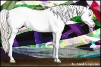 Horse Color:Chocolate Palomino Pearl Sabino Appaloosa Rabicano