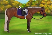 Horse Color:Silver Brown 