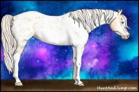 Horse Color:Gray Silver Amber Cream Champagne Roan Dun Splash Tobiano Frame Near Leopard Rabicano 
