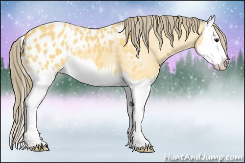 Horse Color: Buckskin Splash Blanket 