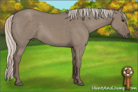 Horse Color:Silver Grullo 
