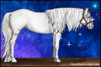 Horse Color:Gray Silver Amber Cream Champagne Roan Dun Splash Tobiano Frame Blanket Rabicano 