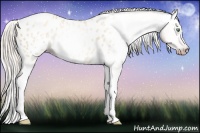 Horse Color:Gray Silver Amber Cream Champagne Roan Dun Splash Tobiano Frame Appaloosa Rabicano 