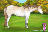 Horse Color:Bay Pearl Dun Sabino 