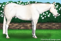Horse Color:Gray Silver Amber Cream Champagne Roan Dun Splash Tobiano Frame Blanket Rabicano 