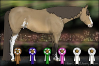 Horse Color:Buckskin Sabino