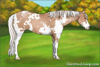 Horse Color:White Spotted Silver Black Pearl Sabino