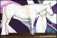 Horse Color:Gray Silver Amber Cream Champagne Roan Dun Splash Tobiano Frame Appaloosa Rabicano 