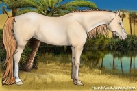 Horse Color:Amber Champagne Pearl 