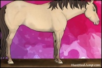 Horse Color:Sable Cream Champagne Dun 