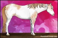 Horse Color:White Spotted Gold Champagne Frame 
