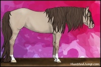 Horse Color:Classic Champagne Dun 