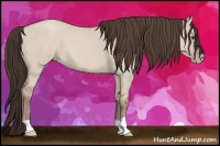 Horse Color:Classic Champagne Dun 