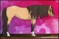Horse Color:Buckskin Roan 