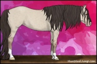 Horse Color:Classic Champagne Dun 