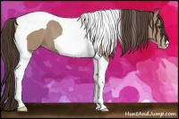 Horse Color:Classic Champagne Tobiano 