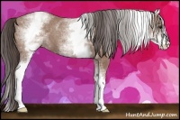Horse Color:White Spotted Classic Champagne 