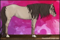 Horse Color:Classic Champagne Dun 