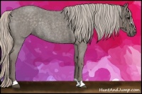 Horse Color:Silver Blue Roan Rabicano 