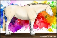 Horse Color:Buckskin Pearl Splash Frame