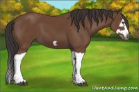 Horse Color:Bay Splash Frame 