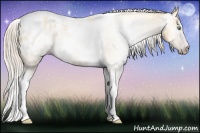 Horse Color:Gray Silver Amber Cream Champagne Roan Dun Splash Tobiano Frame Blanket Rabicano 