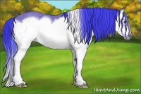 Horse Color:Watercolor Bay Splash Frame 