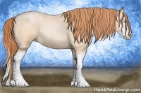 Horse Color:Buckskin Roan Pearl Splash Frame 