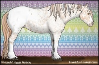 Horse Color:White Spotted Brown Pearl Splash Appaloosa 