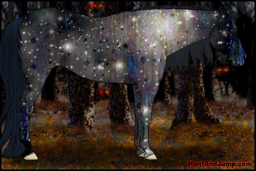 Horse Color: ERROR: UNKNOWN ANOMALY