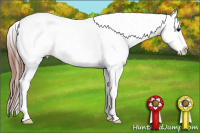 Horse Color:Grullo Sabino Splash Blanket Rabicano 