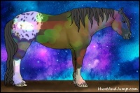 Horse Color:Black Appaloosa