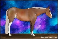 Horse Color:Silver Brown Sabino 