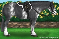 Horse Color:White Spotted Black 