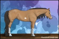 Horse Color:Bay Splash Frame 