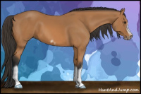 Horse Color:Bay Splash Frame 