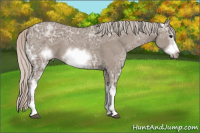 Horse Color:White Spotted Silver Grullo Ice Frame