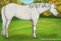 Horse Color:Watercolor Palomino Dun 