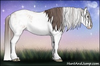Horse Color:Bay Sabino Splash Varnish 