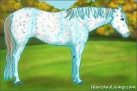 Horse Color:Thunderstruck Red Roan Splash Near Leopard 