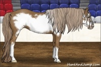 Horse Color:Chocolate Palomino Frame 