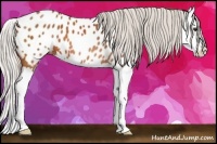Horse Color:Silver Bay Splash Blanket 