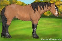 Horse Color:Bay Roan Splash  Brindle