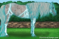 Horse Color:Thunderstruck Silver Blue Roan 
