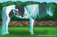 Horse Color:Thunderstruck Black Splash Tobiano 