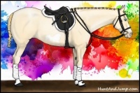 Horse Color:Buckskin Pearl Splash Frame 