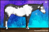 Horse Color:Liver Red Roan Frame 